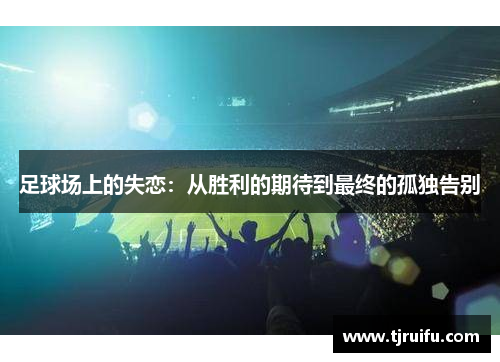 足球场上的失恋：从胜利的期待到最终的孤独告别